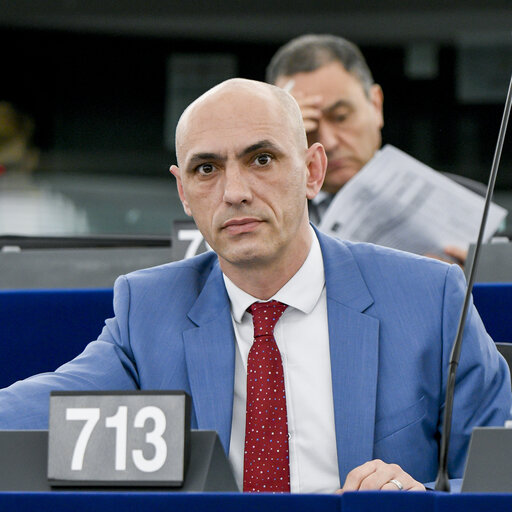 Fotogrāfija 2: Razvan POPA in the EP in Strasbourg