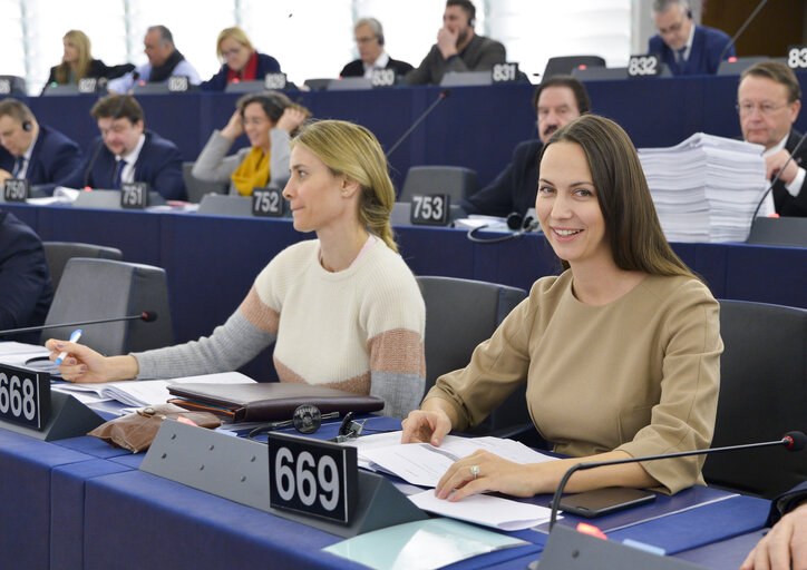 Eva MAYDELL in the EP in Strasbourg