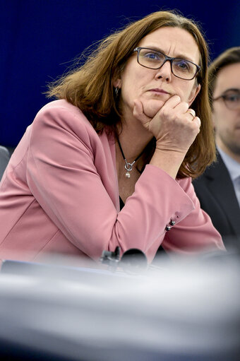 Fotografi 2: Plenary session - Framework for screening of foreign direct investments into the European Union