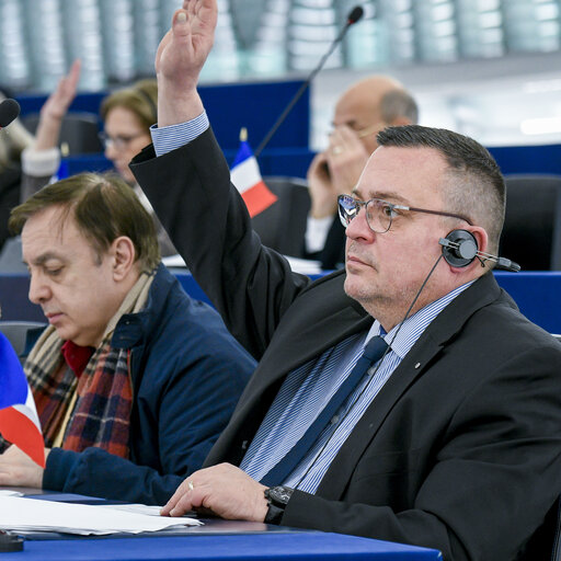 Dominique MARTIN in the EP in Strasbourg