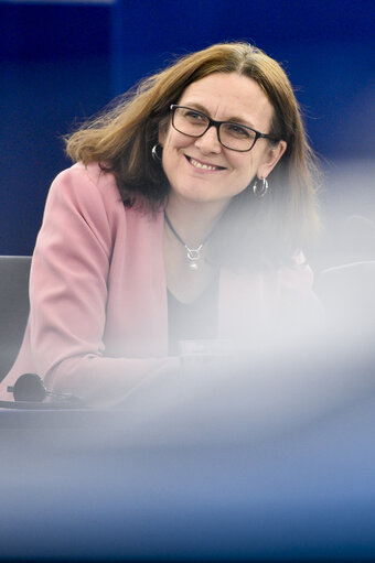 Fotografi 4: Plenary session - Framework for screening of foreign direct investments into the European Union