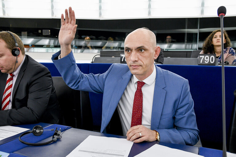 Fotogrāfija 5: Razvan POPA in the EP in Strasbourg