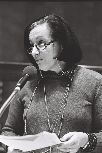 Fotografia 9: Plenary session in Luxembourg on October 1977