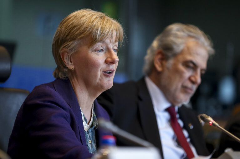 Photo 22 : DEVE public hearing  on ' The Future of the EU's Humanitarian Aid '