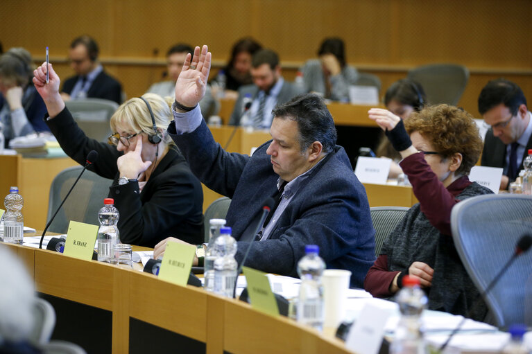 Fotografija 4: CULT Committee meeting - Creative Europe - Vote on the draft report