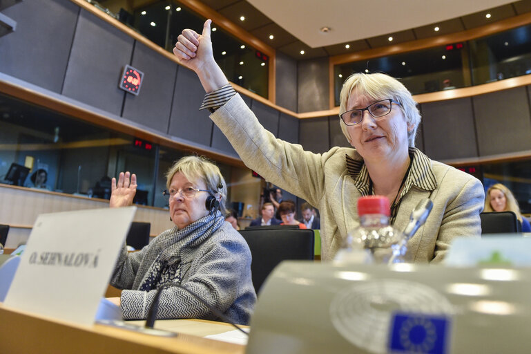 Olga SEHNALOVA in the EP in Brussels