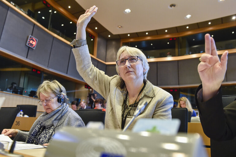 Olga SEHNALOVA in the EP in Brussels