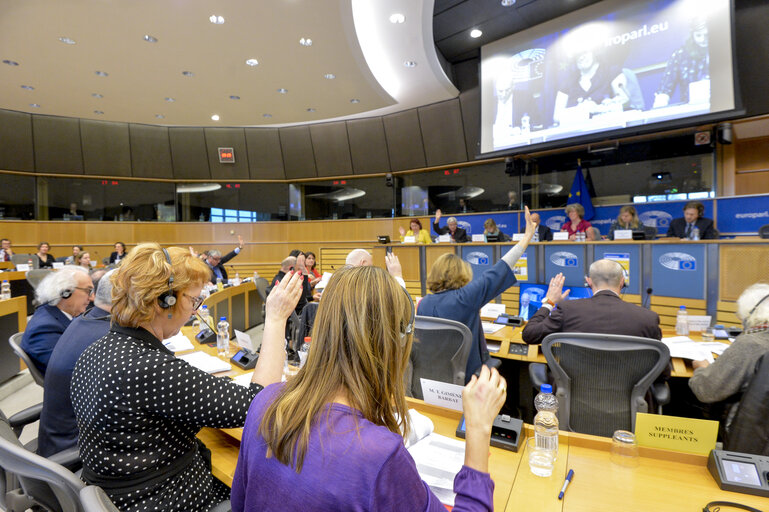 Foto 4: CULT committee meeting. Vote on 'Erasmus'; the Union programme for education, training, youth and sport