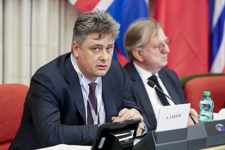 Foto 7: 52nd Joint Parliamentary meeting of the European Economic Area