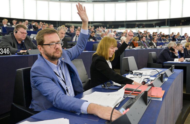 Jerome LAVRILLEUX in the EP in Strasbourg