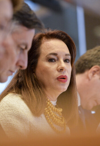 AFET Committee - Exchange of views with María Fernanda Espinosa Garcés, President of the 73rd session of the UN General Assembly (UNGA)