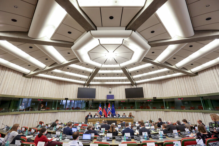 Foto 8: 52nd Joint Parliamentary meeting of the European Economic Area