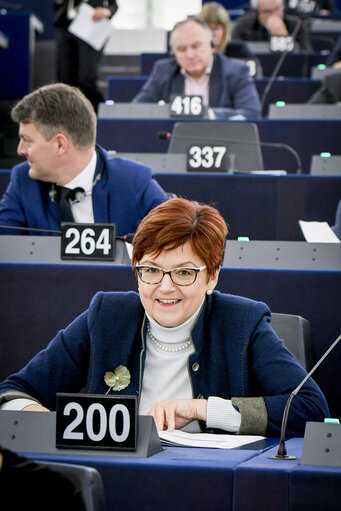 Fotografija 6: Ingeborg GRASSLE in the EP in Strasbourg