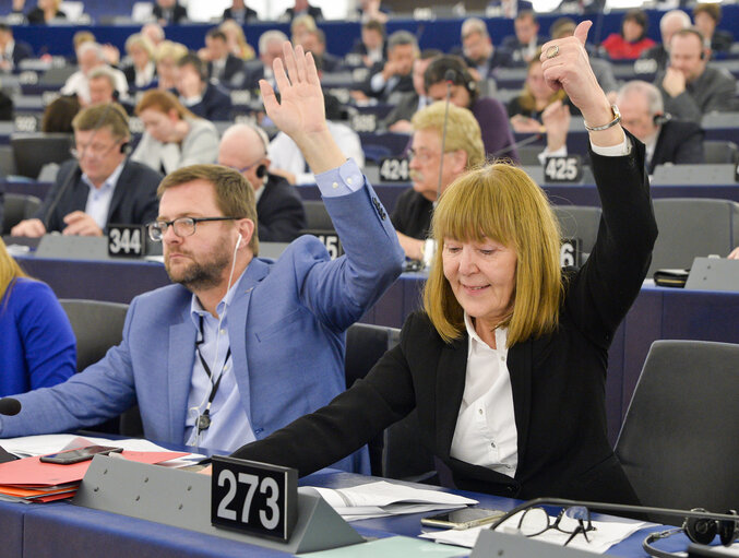 Fotogrāfija 6: Monica Luisa MACOVEI in the EP in Strasbourg