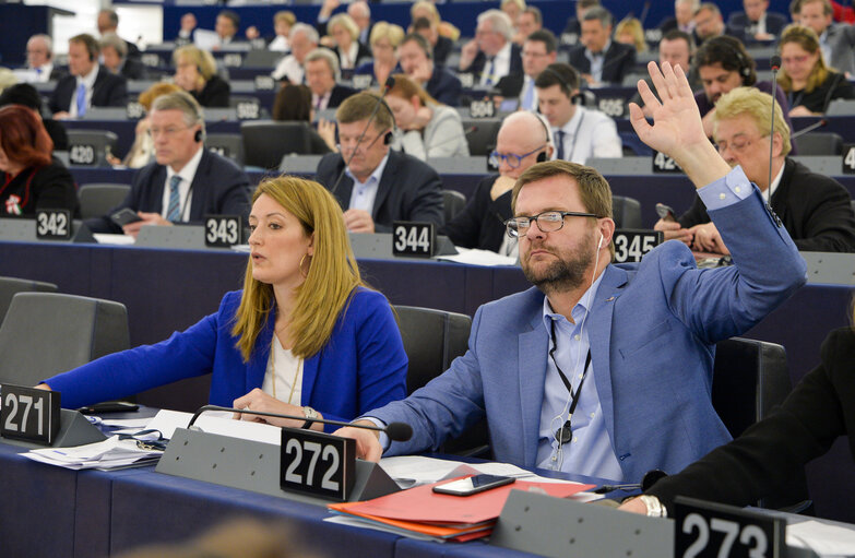 Jerome LAVRILLEUX in the EP in Strasbourg