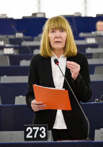 Billede 3: Monica Luisa MACOVEI in the EP in Strasbourg