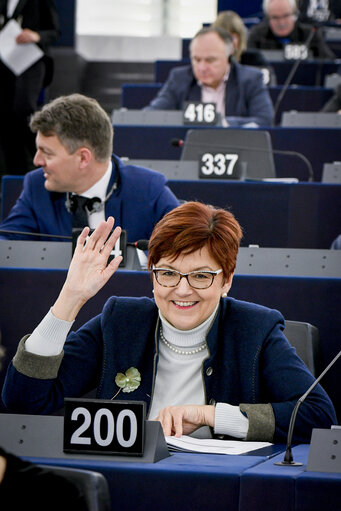 Fotografia 3: Ingeborg GRASSLE in the EP in Strasbourg