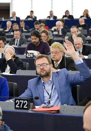 Jerome LAVRILLEUX in the EP in Strasbourg