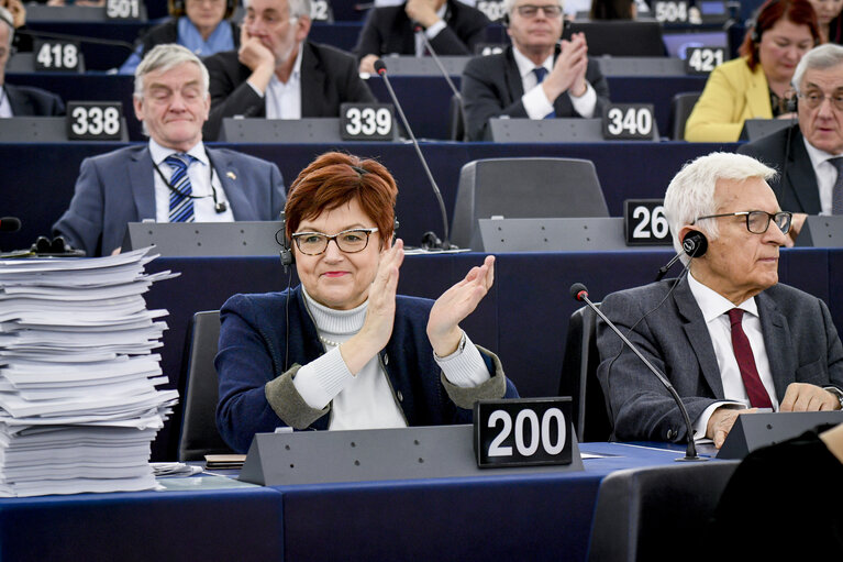 Zdjęcie 7: Ingeborg GRASSLE in the EP in Strasbourg