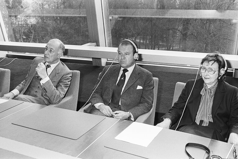 Meeting at the European Parliament in Strasbourg