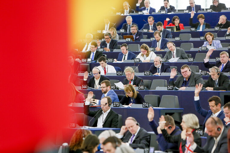 Fotografi 8: Plenary session - Votes followed by explanations of votes