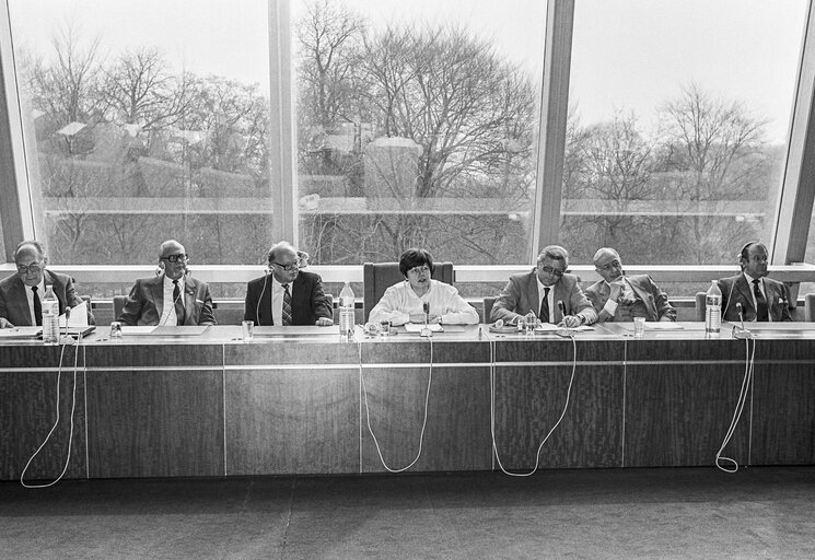 Foto 2: Meeting at the European Parliament in Strasbourg