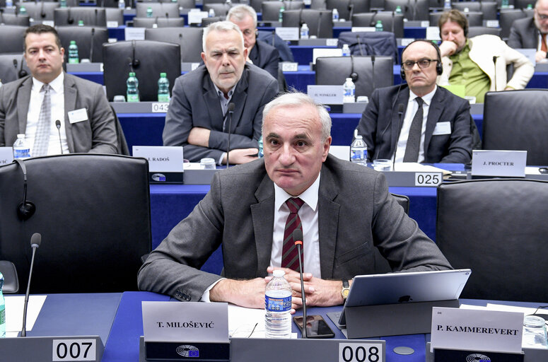 Fotografija 16: 17th EU-Montenegro Stabilisation and Association Parliamentary Committee (SAPC)