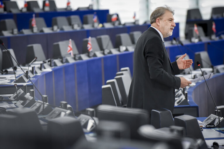 Foto 3: Plenary session - Votes followed by explanations of votes