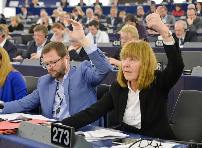 Fotogrāfija 5: Monica Luisa MACOVEI in the EP in Strasbourg