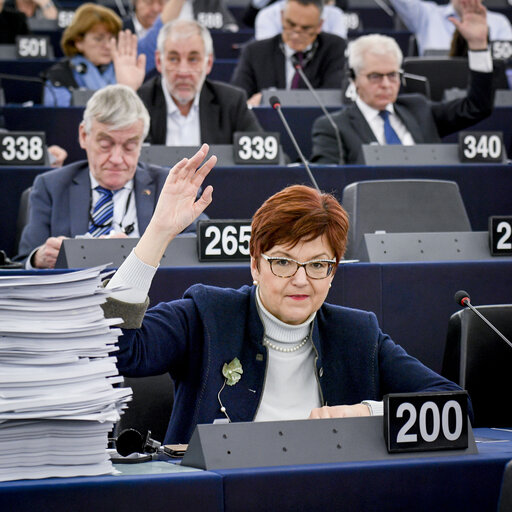 Fotografie 5: Ingeborg GRASSLE in the EP in Strasbourg