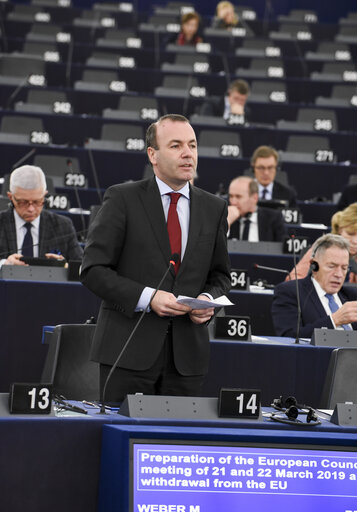 Fotografie 11: Plenary session - Preparation of the European Council meeting of 21 and 22 March 2019