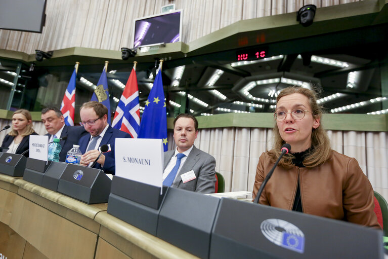 Foto 4: 52nd Joint Parliamentary meeting of the European Economic Area