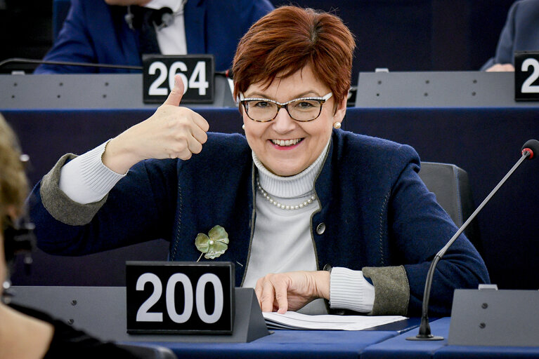 Zdjęcie 4: Ingeborg GRASSLE in the EP in Strasbourg