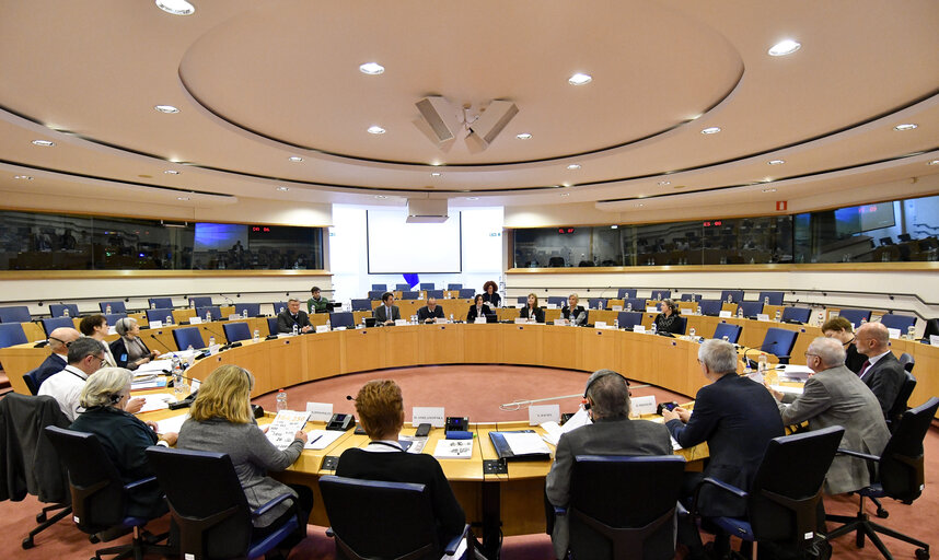 Fotografie 10: Meeting of the Academic Committee of the House of the European History