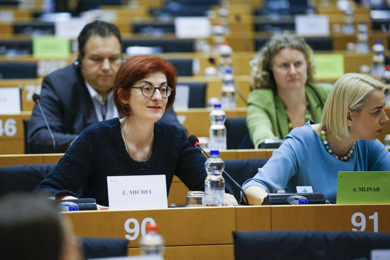 Foto 3: LIBE committee. Vote on Preventing dissemination of terrorist content online