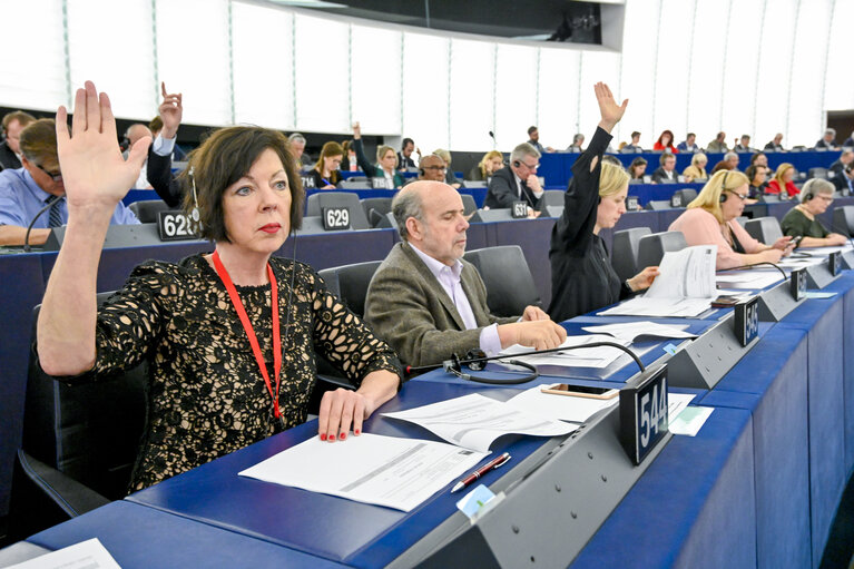 Valokuva 3: Theresa GRIFFIN in the EP in Strasbourg