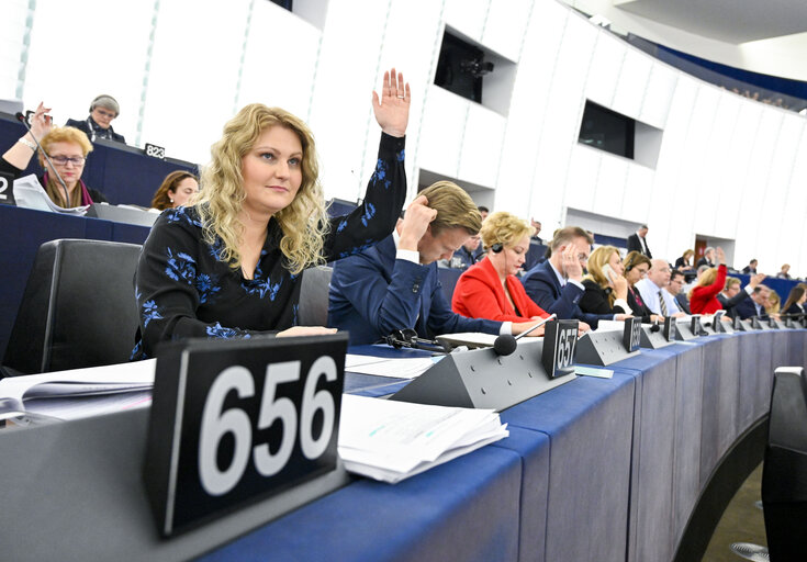 Photo 4: Nadja HIRSCH in the EP in Strasbourg