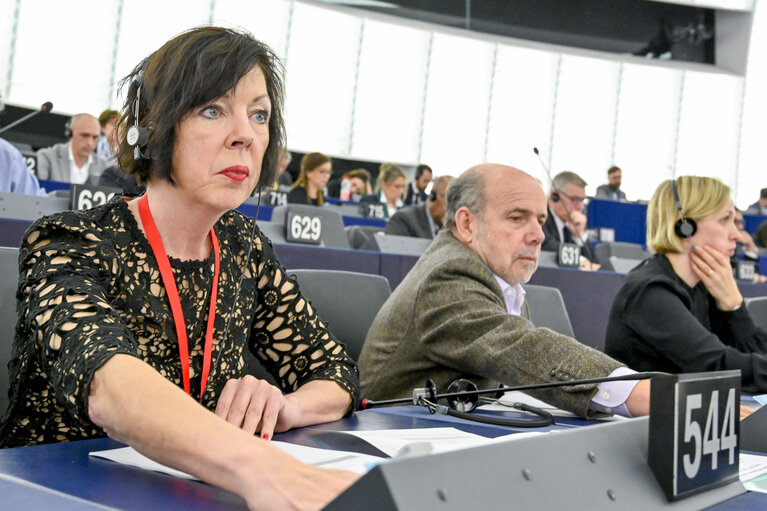 Fotografia 2: Theresa GRIFFIN in the EP in Strasbourg