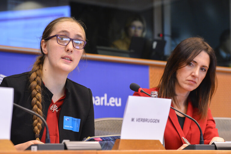 SEDE Public Hearing on Opportunities and challenges of the use of Artificial Intelligence - enabled systems in security and defence