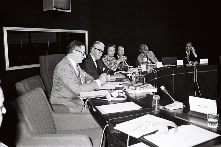 Fotografi 8: Meeting during a session in Strasbourg in May 1980.