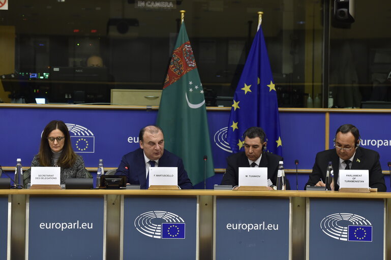 Fotografie 10: 5th EU-Turkmenistan Inter-parliamentary Meeting (IPM)