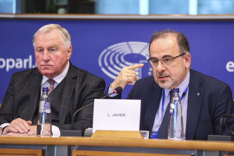 Suriet 10: AFCO public hearing on ' Lessons to be drawn from the 2019 elections and proposals in view of the debate concerning the Future of Europe '