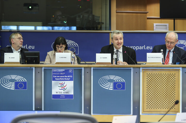 Photo 3: INTA public hearing on ' Can we save the WTO Appellate Body? '