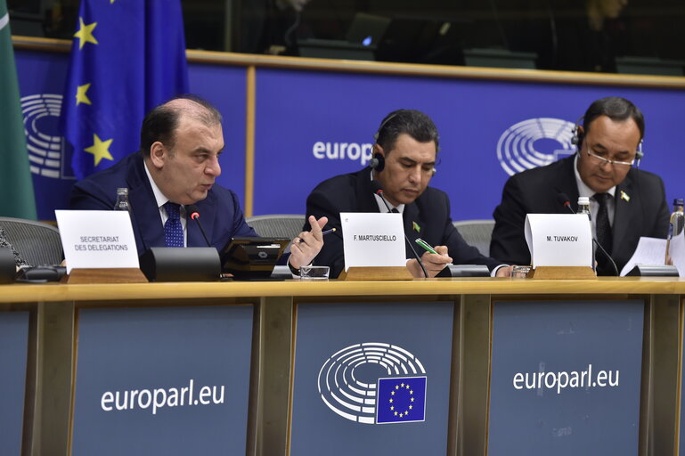 Fotografie 7: 5th EU-Turkmenistan Inter-parliamentary Meeting (IPM)