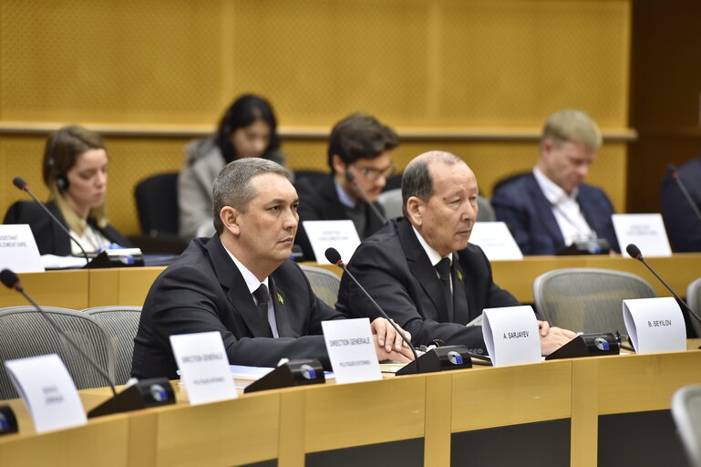 Photo 3 : 5th EU-Turkmenistan Inter-parliamentary Meeting (IPM)