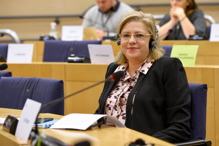 CONT Committee meeting - Discharge Hearing with Commissioner Johaness HAHN