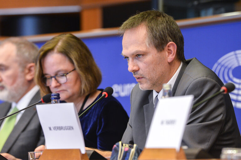 SEDE Public Hearing on Opportunities and challenges of the use of Artificial Intelligence - enabled systems in security and defence