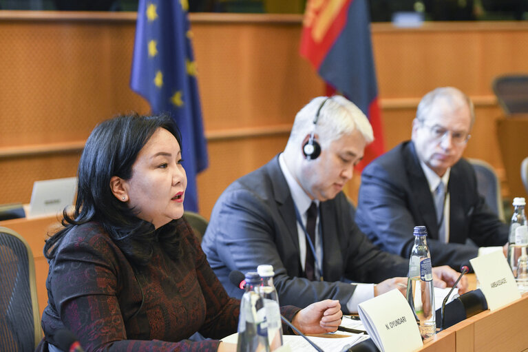 Nuotrauka 6: 13th EU-Mongolia Inter-Parliamentary Meeting