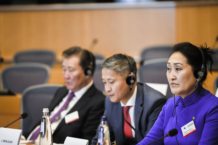 Nuotrauka 5: 13th EU-Mongolia Inter-Parliamentary Meeting