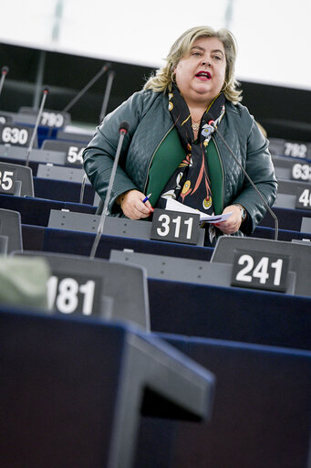 Fotografija 5: EP Plenary session - Conflict of interest and corruption affecting the protection of EU's financial interests in Member States